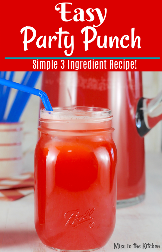 Party Punch Recipes for Every Party- 3 Party Punch Recipes and