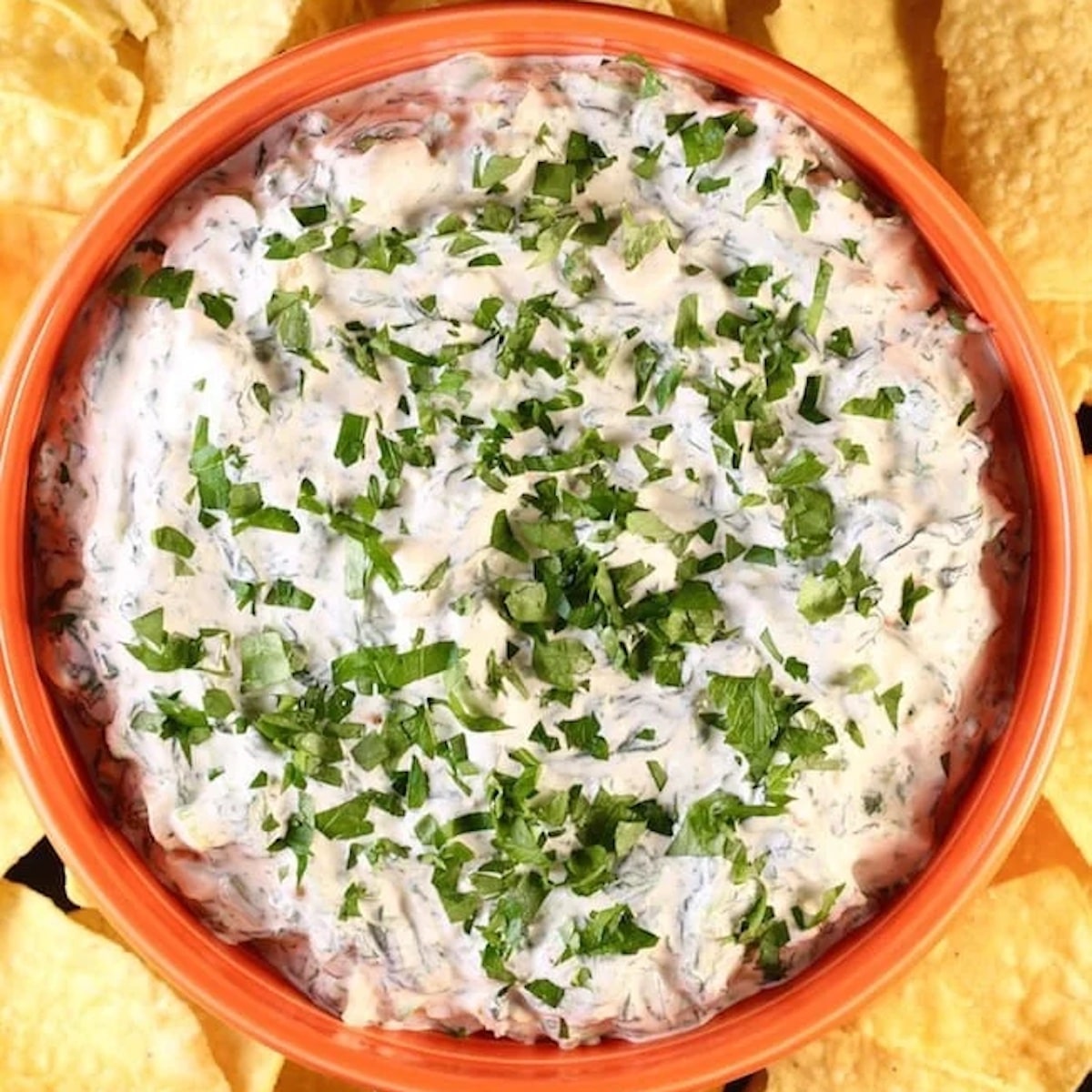 Homemade French Onion Dip - Brown Eyed Baker