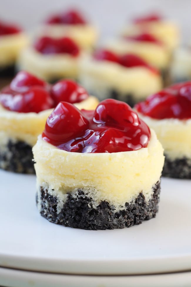 Mini Cherry Cheesecakes Recipe - Miss in the Kitchen