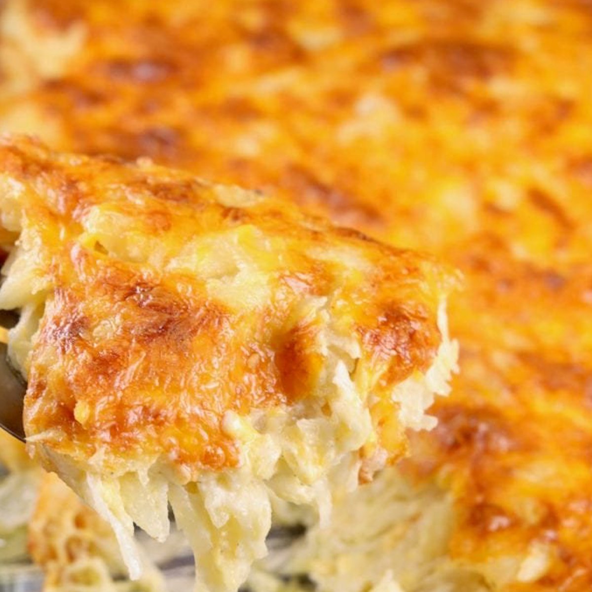 Cheesy Hashbrown Casserole Recipe - Miss In The Kitchen