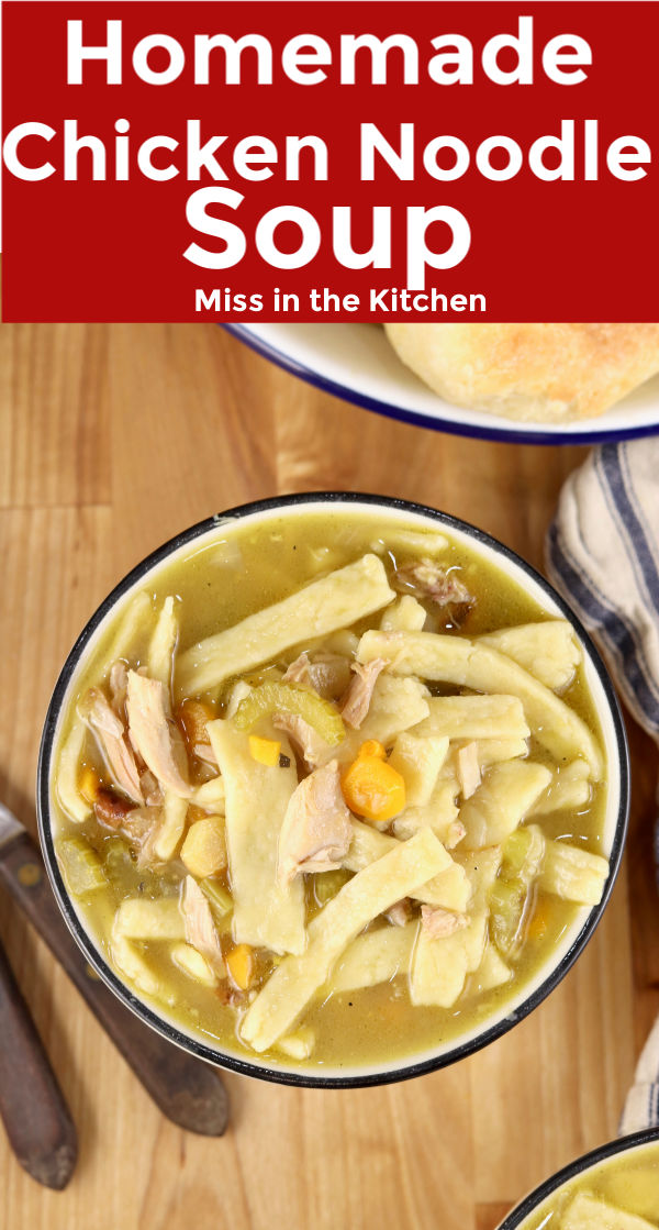 Homemade Chicken Noodle Soup Recipe - Miss in the Kitchen