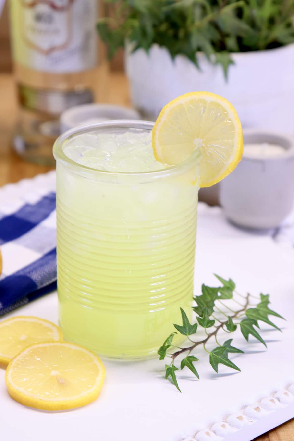 https://www.missinthekitchen.com/wp-content/uploads/2022/02/Vodka-Lemonade-Recipe-picture.jpg
