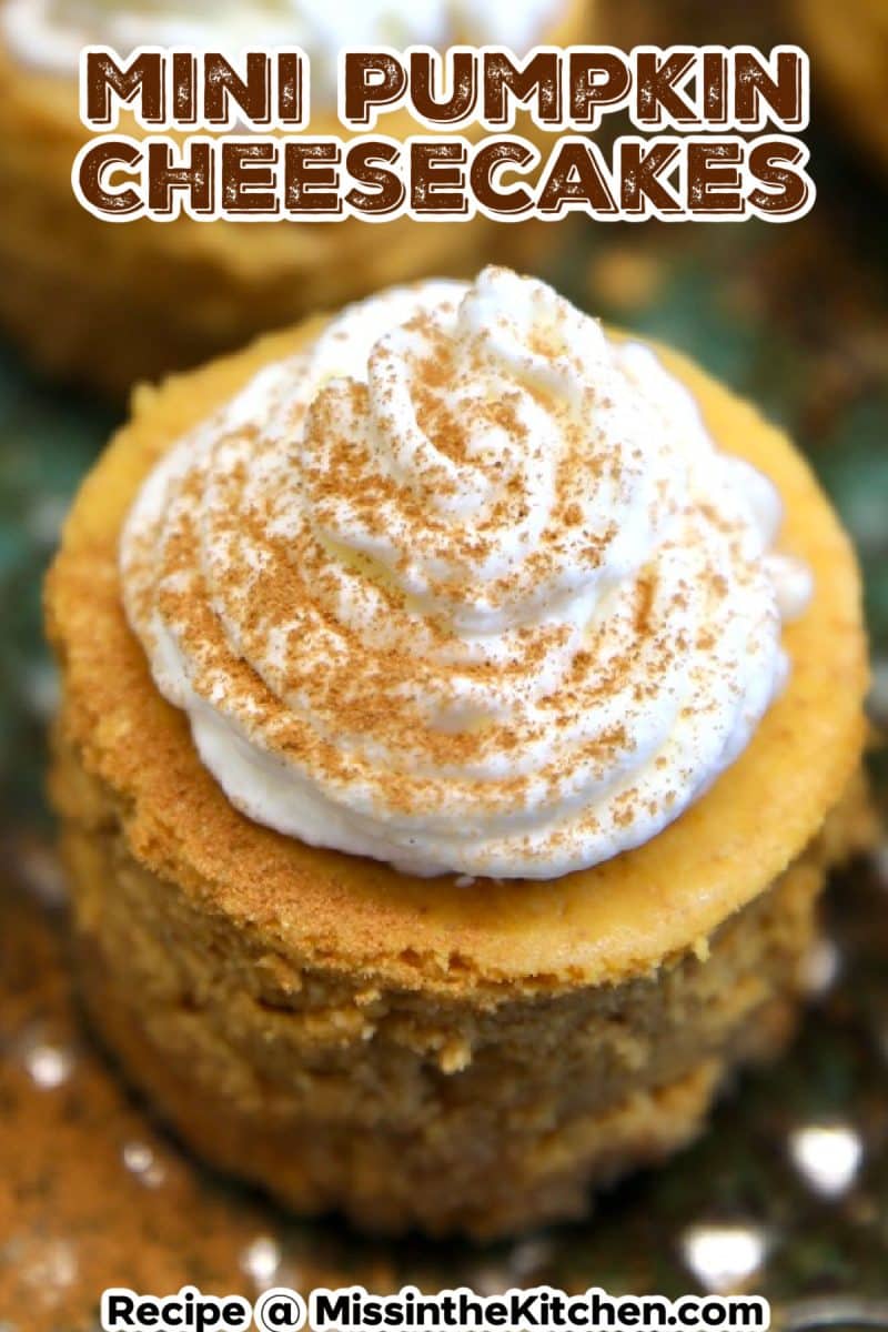 Mini pumpkin cheesecake with whipped cream - text overlay.