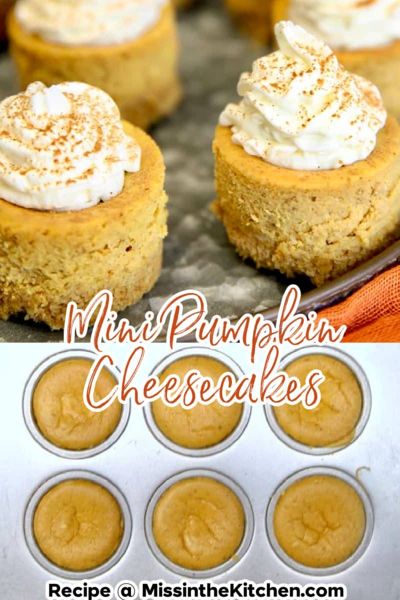 Collage of mini pumpkin cheesecake, plated/ in pan. Text overlay.