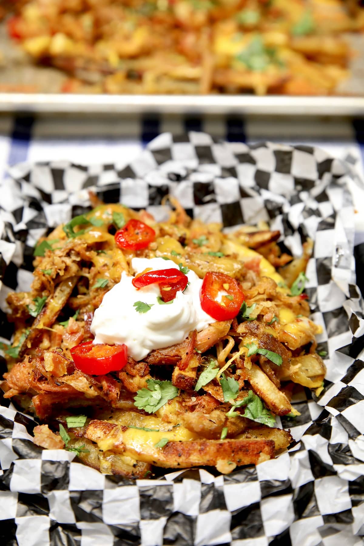 Loaded pulled pork fries in a dish.